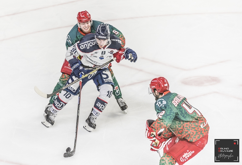 Photo hockey Coupe de France - Coupe de France - 1/4 Finale : Cergy-Pontoise vs Angers  - CDF: Les Ducs senvolent pour la demi-finale