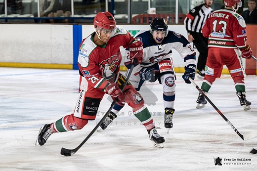 Photo hockey Coupe de France - Coupe de France 16me de Finale : Courbevoie  vs Wasquehal Lille - Les Lions dvorent les Coqs
