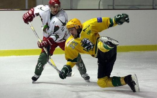 Photo hockey Division 1 - D1 - 16me journe : Viry Hockey 91 vs Cergy-Pontoise - Reportage photos