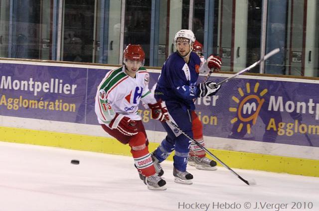 Photo hockey Division 1 - D1 : 9me journe : Montpellier  vs Courbevoie  - Les Vipers reprennent des couleurs !
