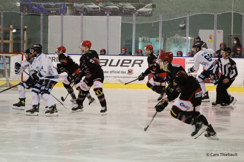 Photo hockey Division 1 - Division 1 : 11me journe : Cholet  vs Tours  - Les Dogs passent les Remparts