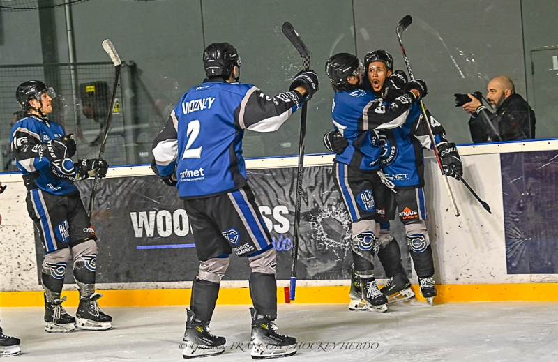 Photo hockey Division 1 - Division 1 : 11me journe : Nantes vs Cholet  - Nantes renverse le leader choletais