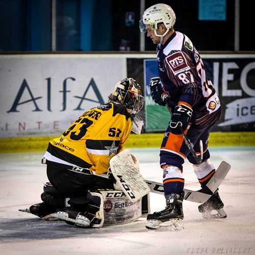 Photo hockey Division 1 - Division 1 : 16me journe : Montpellier  vs Strasbourg  - Division 1 - J16 : Montpellier - Strasbourg