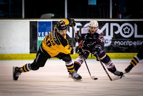 Photo hockey Division 1 - Division 1 : 16me journe : Montpellier  vs Strasbourg  - Division 1 - J16 : Montpellier - Strasbourg