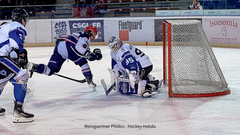 Photo hockey Division 1 - Division 1 : 1re journe : Lyon vs Nantes - Entre fracassante des Lions : Lyon rugit demble face  Nantes