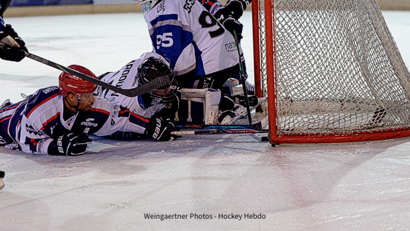 Photo hockey Division 1 - Division 1 : 1re journe : Lyon vs Nantes - Entre fracassante des Lions : Lyon rugit demble face  Nantes