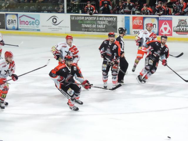 Photo hockey Division 1 - Division 1 : 20me journe : Bordeaux vs Cholet  - La revanche des Boxers
