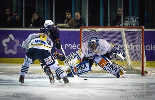 Photo hockey Division 1 - Division 1 : 23me journe : Montpellier  vs Dunkerque - Montpellier  Dunkerque 