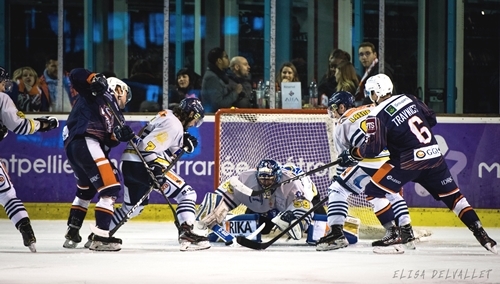 Photo hockey Division 1 - Division 1 : 23me journe : Montpellier  vs Dunkerque - Montpellier  Dunkerque 