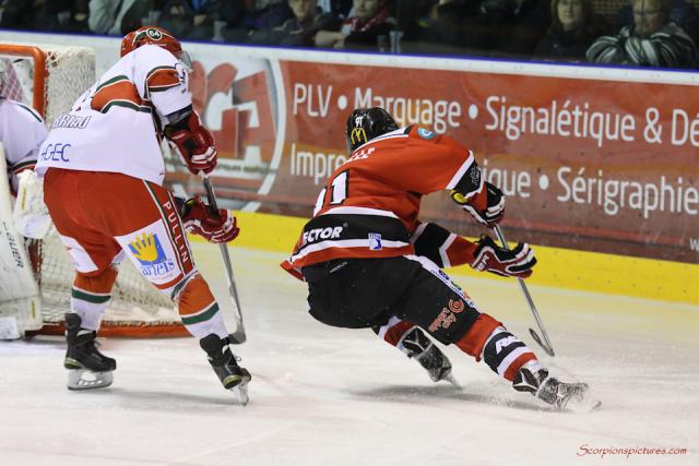 Photo hockey Division 1 - Division 1 : 24me journe : Mulhouse vs Anglet - Un parfum de playoffs