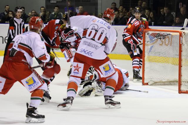 Photo hockey Division 1 - Division 1 : 24me journe : Mulhouse vs Anglet - Un parfum de playoffs