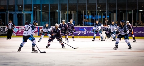 Photo hockey Division 1 - Division 1 : 25me journe : Montpellier  vs Marseille - J25 : Montpellier - Marseille