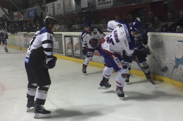 Photo hockey Division 1 - Division 1 : 4me journe : Nantes  vs Mulhouse - Un rveil trop tardif pour les Nantais