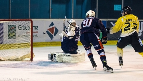 Photo hockey Division 1 - Division 1 : 6�me journ�e : Montpellier  vs Chamb�ry - Montpellier - Chamb�ry : Les Vipers retrouvent du mordant !