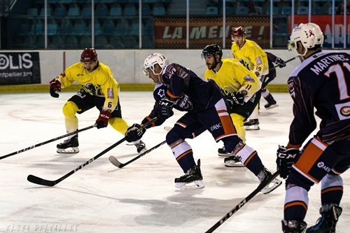 Photo hockey Division 1 - Division 1 : 6�me journ�e : Montpellier  vs Chamb�ry - Montpellier - Chamb�ry : Les Vipers retrouvent du mordant !