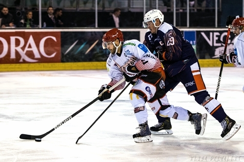Photo hockey Division 1 - Division 1 : 8me journe : Montpellier  vs Cholet  - D1 - Montpellier ne confirme pas face  Cholet