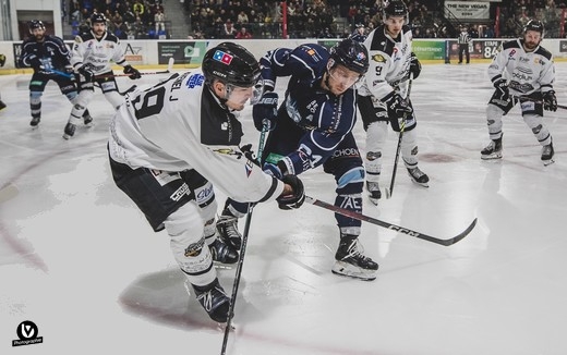 Photo hockey Division 1 - Division 1 : 9me journe : Tours  vs Brest  - Victoire de Tours vs Brest