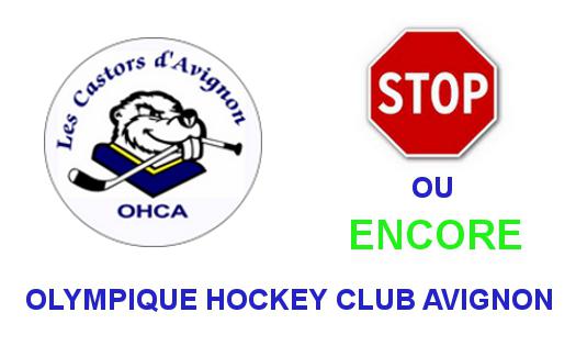 Photo hockey Division 1 - Division 1 : Avignon (Les Castors) - Avignon - STOP ou ENCORE