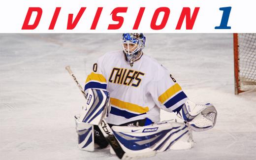 Photo hockey Division 1 - Division 1 - D1 : Prsentation de la 14me journe