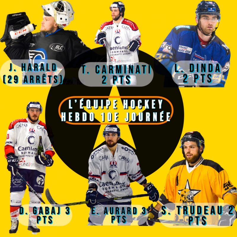 Photo hockey Division 1 - Division 1 - Division 1 - Lquipe Type de la 10e Journe