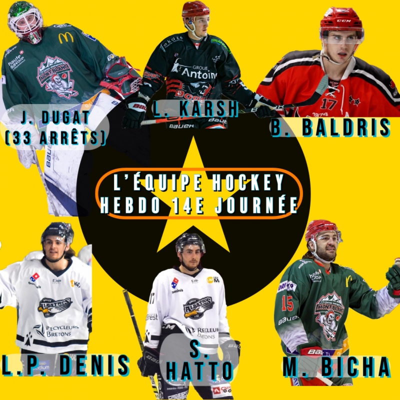 Photo hockey Division 1 - Division 1 - Division 1 - Lquipe Type de la 14e Journe