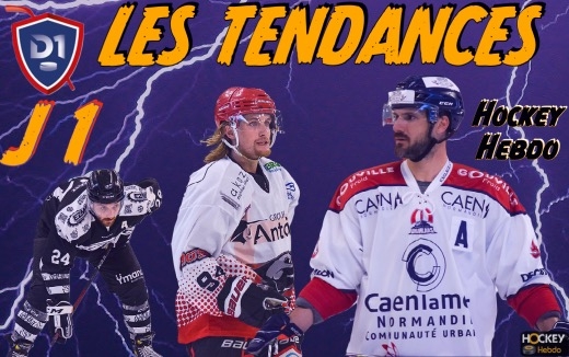 Photo hockey Division 1 - Division 1 - Division 1 - Les Tendances de la 1re Journe