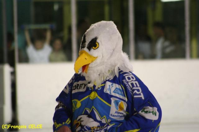 Photo hockey Division 1 - Division 1 - Le Bilan D1 : 3me partie