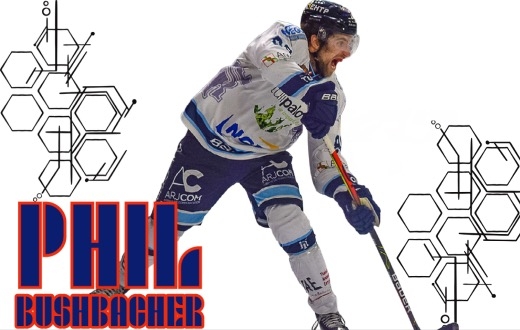 Photo hockey Division 1 - Division 1 - Les Drakkars changent de cap Photo hockey Division 1 - Division 1 - Les Drakkars changent de cap