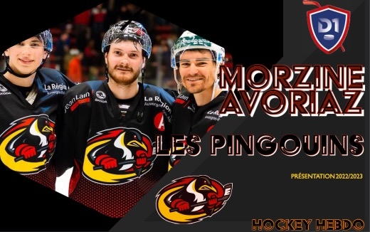 Photo hockey Division 1 - Division 1 - Les Pingouins de Morzine-Avoriaz retrouvent la D1