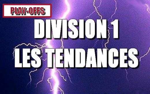 Photo hockey Division 1 - Division 1 - Les tendances - Edition spciale 1/2 finales