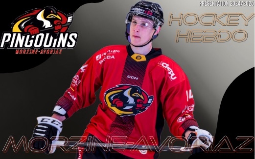 Photo hockey Division 1 - Division 1 - Morzine-Avoriaz 2024-2025 Photo hockey Division 1 - Division 1 - Morzine-Avoriaz 2024-2025