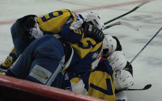 Photo hockey Division 1 - Play-off : 1/2 aller : Avignon vs Gap  - Un barrage parfait
