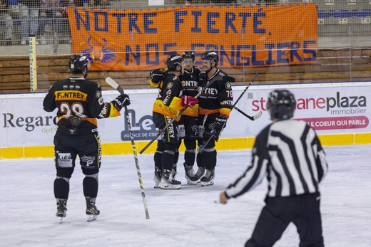 Photo hockey Division 2 -  : Roanne vs Clermont-Ferrand - Victoire encourageante pour les Foxs