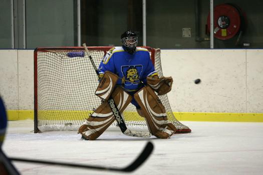 Photo hockey Division 2 - D2 : 13me journe - B : Wasquehal Lille vs Clermont-Ferrand - La revanche de Wasquehal