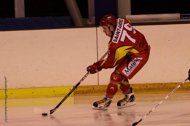 Photo hockey Division 2 - D2 : 15me journe - B : Orlans vs Wasquehal Lille - Orlans confirme