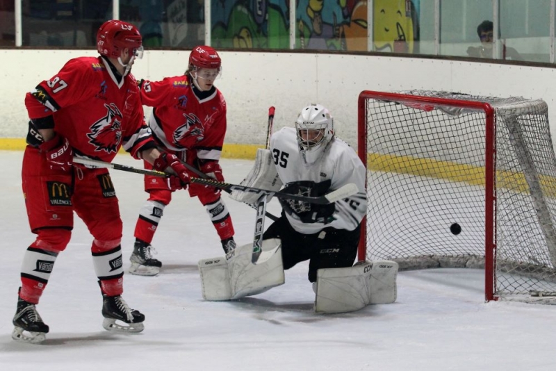 Photo hockey Division 2 - Division 2 - 1/4 de Finale - Match 1 : Valence vs Toulouse-Blagnac - Demi-succs vers les  demi  pour Toulouse