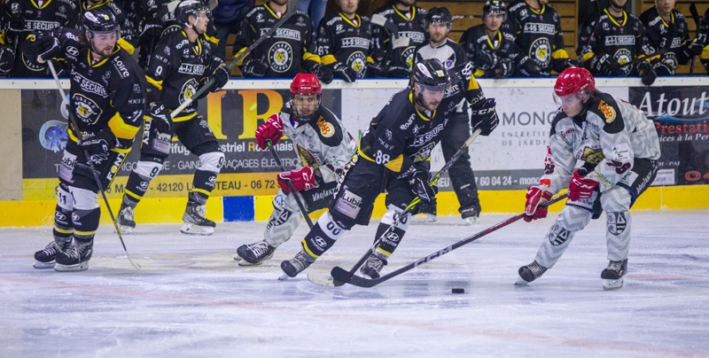Photo hockey Division 2 - Division 2 : 10me journe : Roanne vs Vaujany - Roanne s