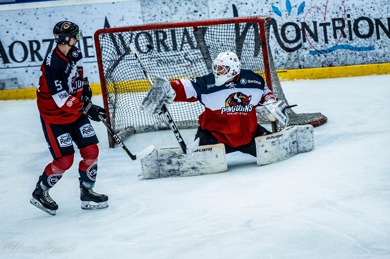 Photo hockey Division 2 - Division 2 : 12me journe : Morzine-Avoriaz vs Clermont-Ferrand - Le Sanglier charge le Pingouin