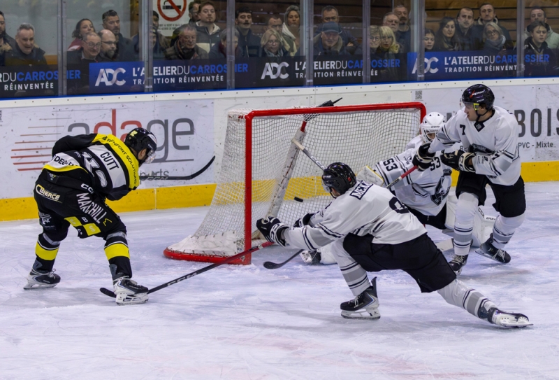 Photo hockey Division 2 - Division 2 : 12�me journ�e : Roanne vs Toulouse-Blagnac - Les Renards tombent dans le pi�ge des B�lougas