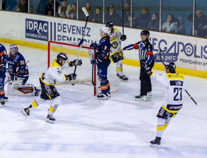Photo hockey Division 2 - Division 2 : 17�me journ�e : Montpellier  vs Roanne - Montpellier : Rien ne va plus