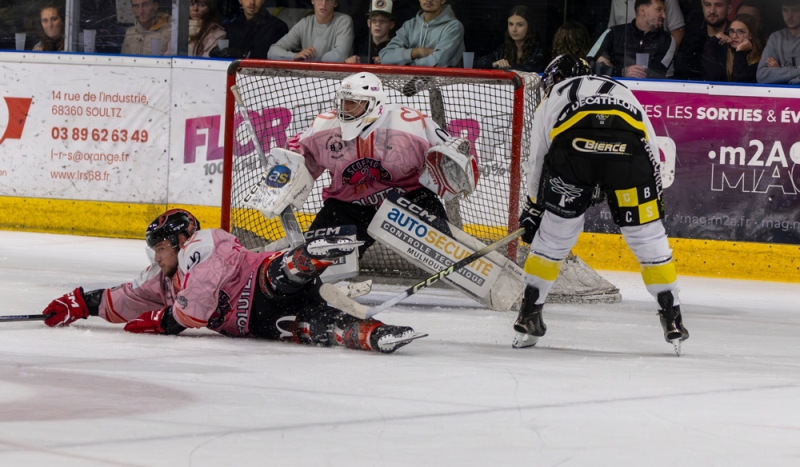 Photo hockey Division 2 - Division 2 : 1re journe : Mulhouse vs Roanne - Roanne gche la fte  Mulhouse pour la premire journe