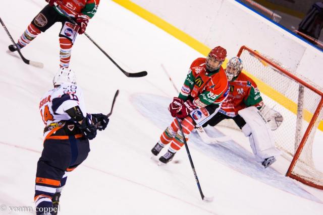 Photo hockey Division 2 - Division 2 : 6me journe : Mont-Blanc vs Montpellier  - Les Vipers avalent le Mont-Blanc