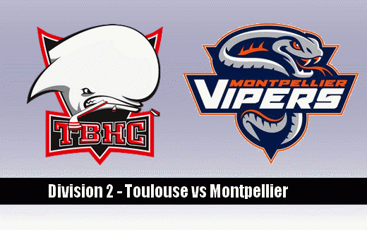 Photo hockey Division 2 - Division 2 : 8me journe : Toulouse-Blagnac vs Montpellier  - La piqre des Vipers