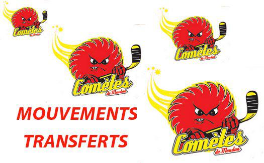 Photo hockey Division 2 - Division 2 : Meudon (Les Comtes) - Mouvements chez les Comtes