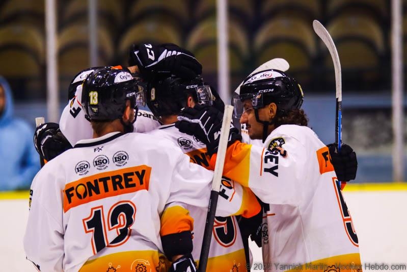 Photo hockey Division 2 - Division 2 : Roanne (Les Renards) - Roanne - Bilan de pr-saison