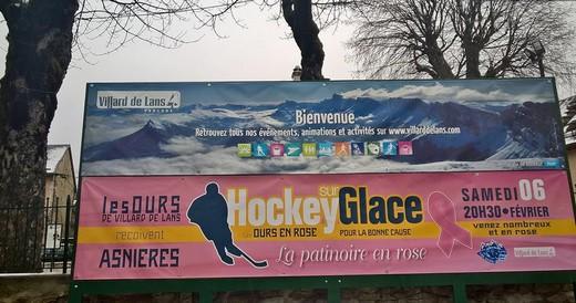 Photo hockey Division 2 - Division 2 : Villard-de-Lans (Les Ours) - Les Ours en Rose pour la bonne cause ! 