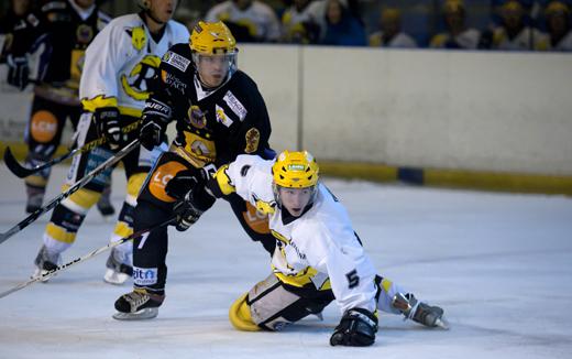 Photo hockey Division 3 - D3 : 7me journe : Aubagne vs Roanne - a, cest fait !