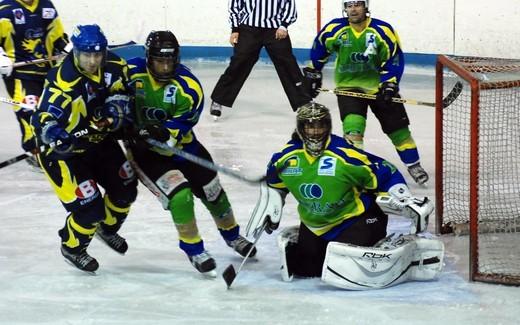 Photo hockey Division 3 - D3 : 9me journe : Limoges vs Niort - Les Taureaux de Feu se font des frayeurs