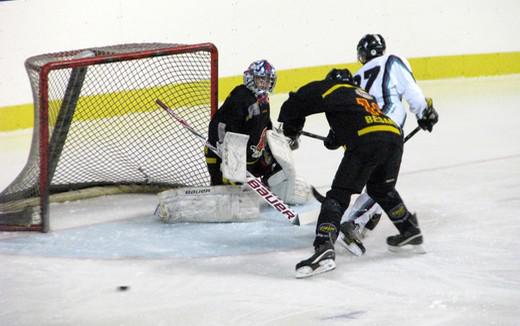 Photo hockey Division 3 - D3 : journe du 10/01/2015 : Besanon vs Dammarie-les-Lys - Solides comme des Aigles