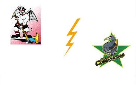 Photo hockey Division 3 - D3 : play down : Poitiers vs Rennes - Dfaite Pictavienne